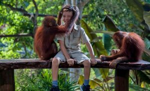 Yuk Travelling ke 6 Kebun Binatang Terlengkap di Indonesia Ini